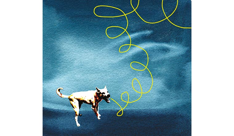 16-Dread-the-dog-days-new