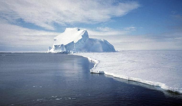 antarctic