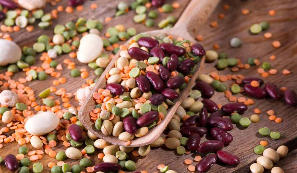 Mixed seeds legumes