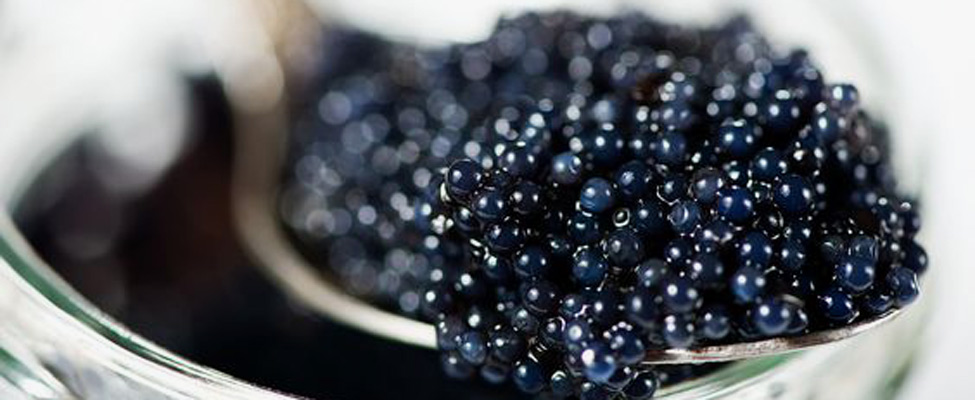 ossetra-caviar