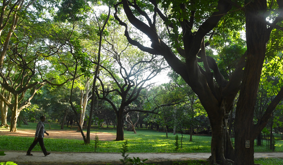 Cubbon Park—in nature's lap