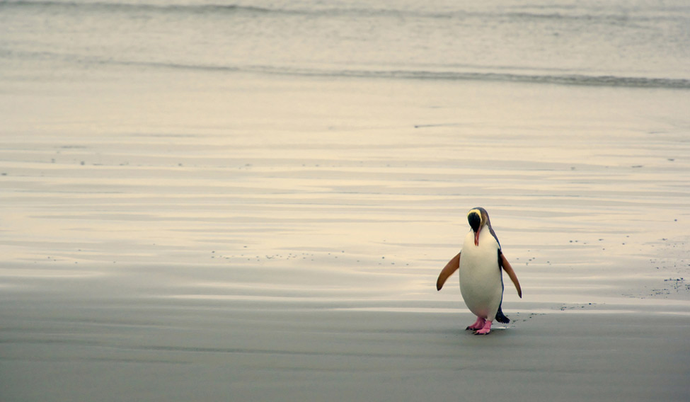 shutterstock_166183529