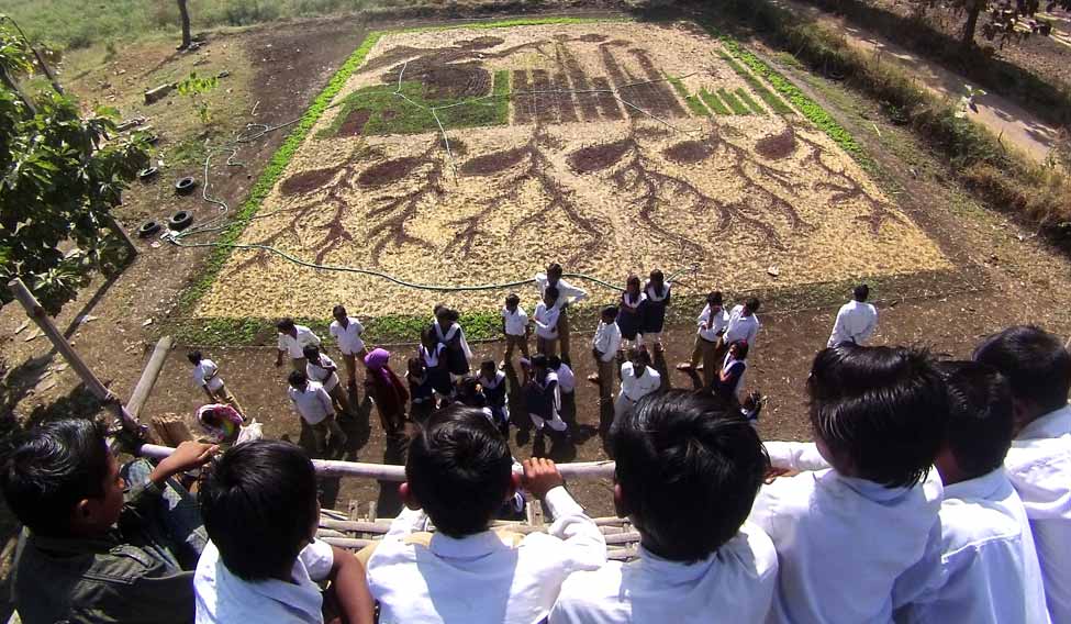 utsav2