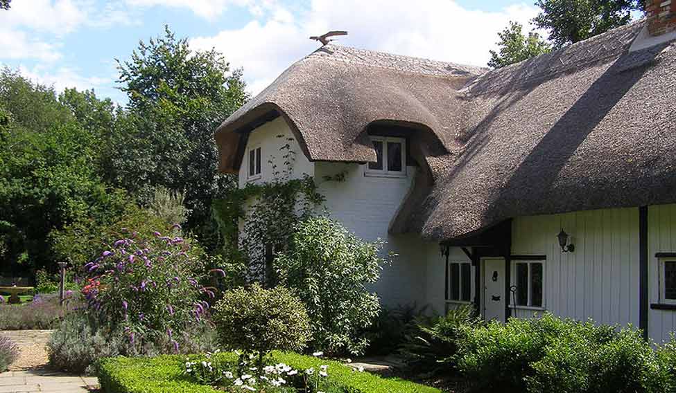 old-thatch