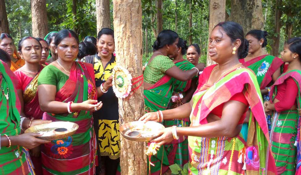 women-protect-forest-in-jharkhand-ians
