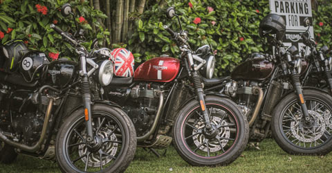 dgr_triumph
