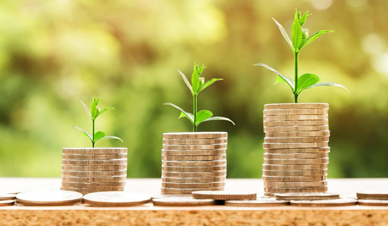 Low Duration Funds: Safeguard your cash, maximise growth potential