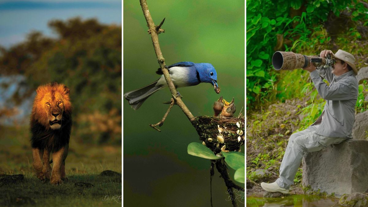 Dr Ramakanta Panda’s photos capture wildlife in its true essence
