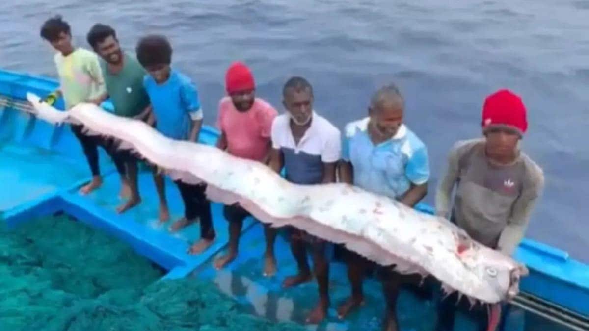 Tamil Nadu fishermen holding a nine-metre-long oarfish | X