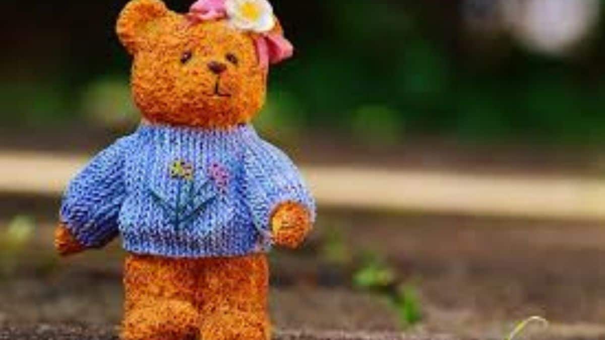 teddynew - 1