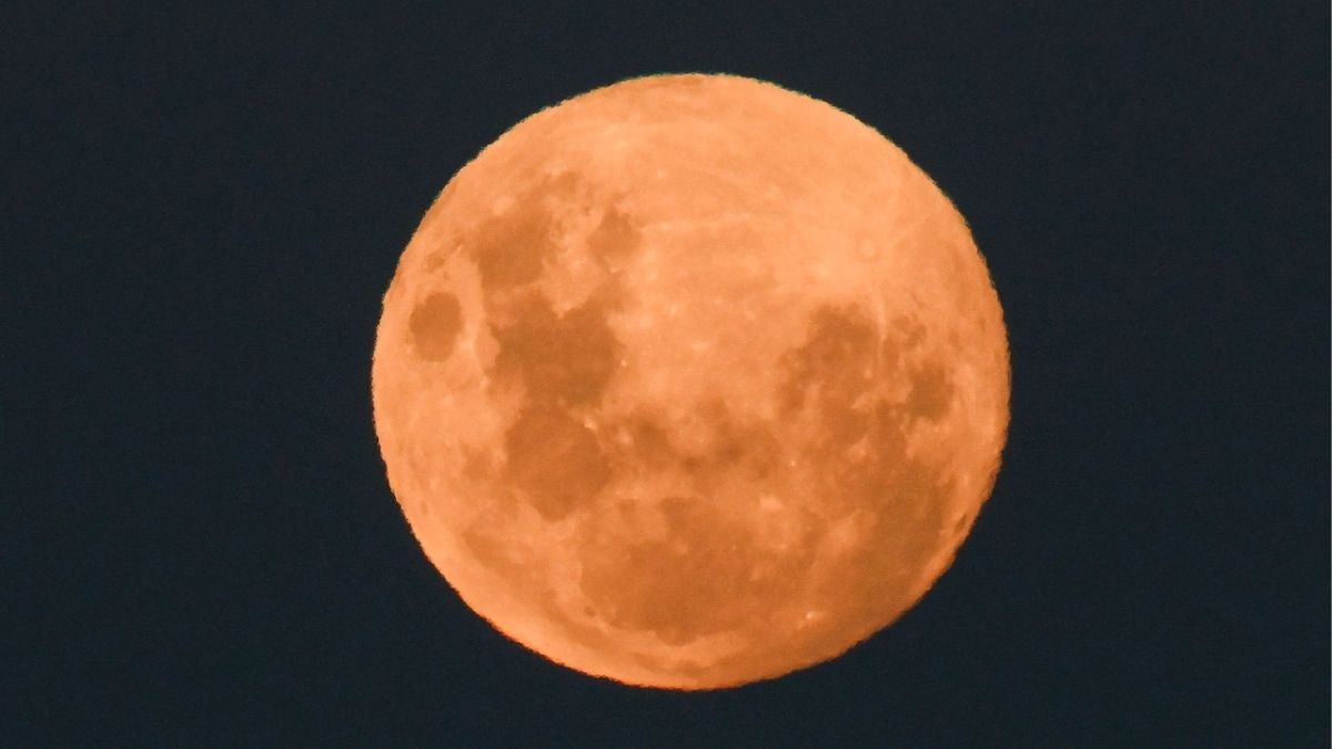 The Moon rises in its waxing gibbous phase next to a building in Buenos Aires on March 2, 2026, ahead of lunar eclipse | AFP