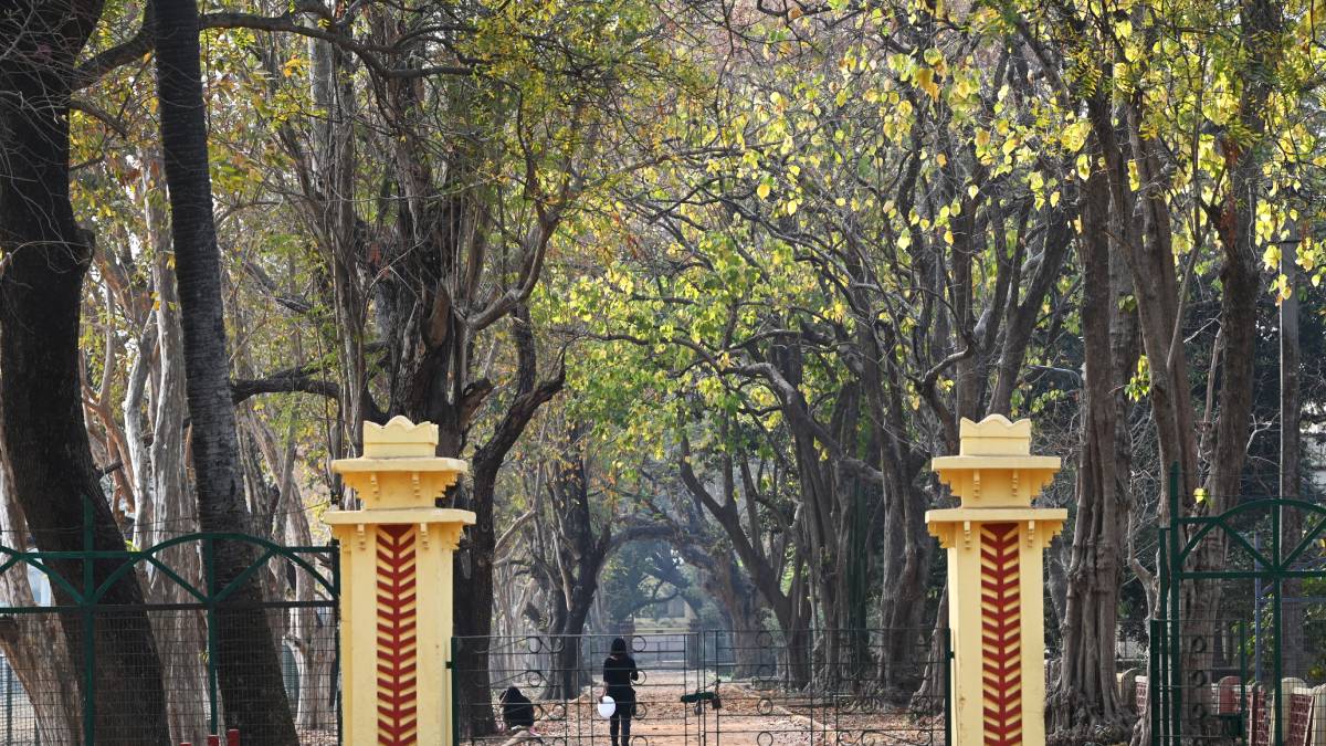santiniketan-1