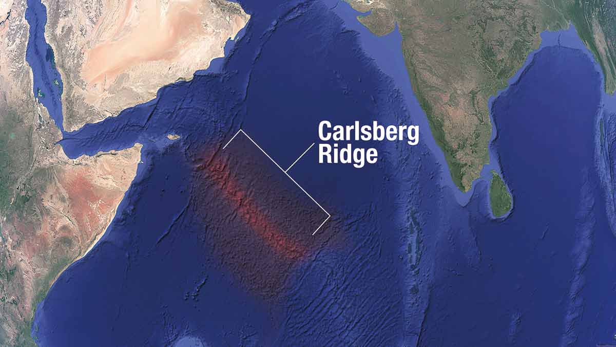 Carlsberg Ridge In Hindi