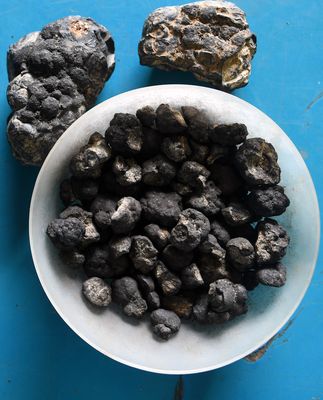 Buried treasure: Polymetallic nodules | Bhanu Prakash Chandra