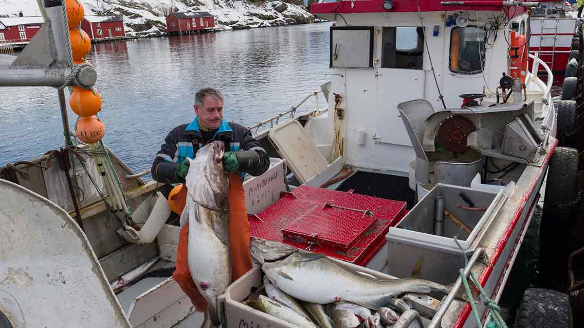 Maritime mastery: A fishing village in northern Norway during winter | Getty Images