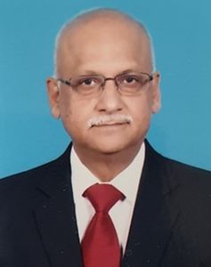 Lieutenant General (retd) S.L. Narasimhan