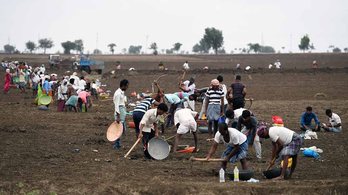 Rural lifeline: MGNREGA workers at Kurtukoti village in Gadag, Karnataka | Bhanu Prakash Chandra