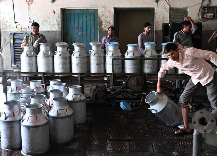 Business as usual: Workers collect milk at a dairy in Bikaner | Sanjay Ahlawat