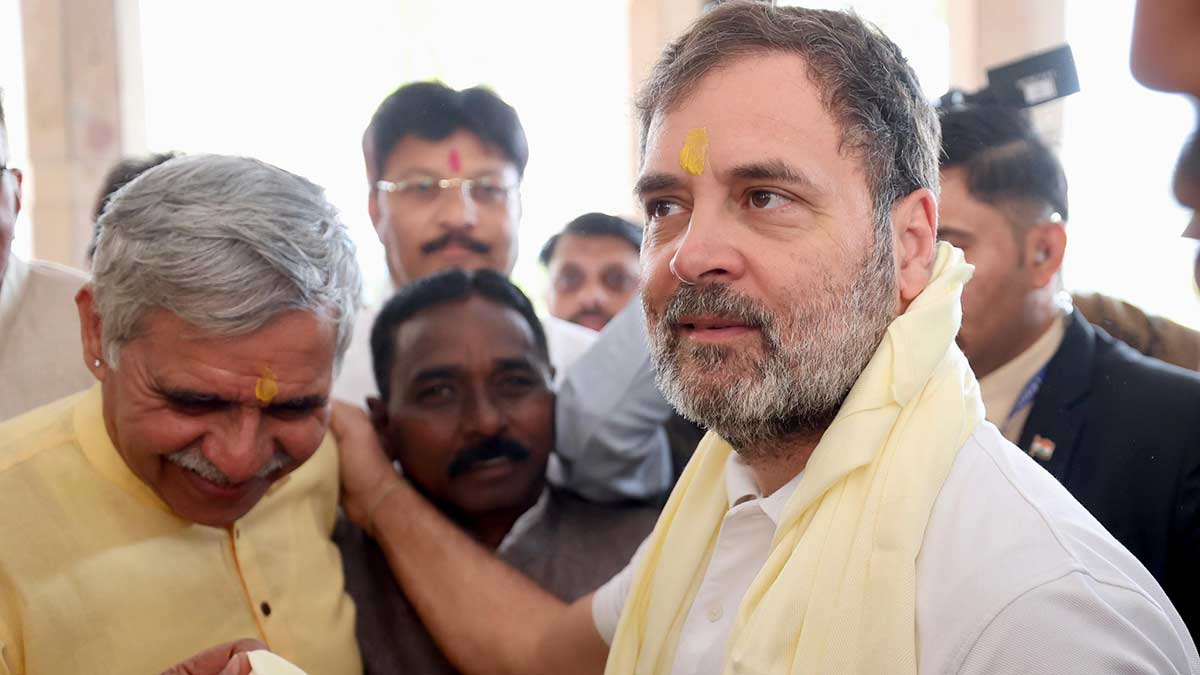 Hope in loss: Rahul Gandhi with Delhi Congress leader Sandeep Dikshit | X@_SandeepDikshit