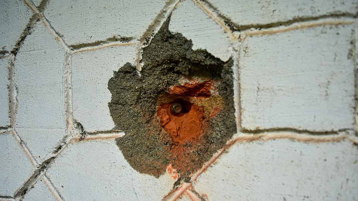 43-a-bullet-lodged-in-the-wall-of-her-home 43-a-bullet-lodged-in-the-wall-of-her-home