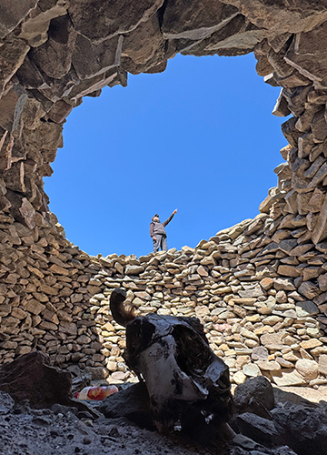Practice of the past: Skeletal remains at the Shandong, a traditional Ladakhi trap meant for predators, near Lato village in Gya-Miru valley.