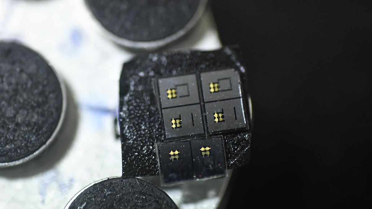27-Compound-chips-on-a-sample-holder