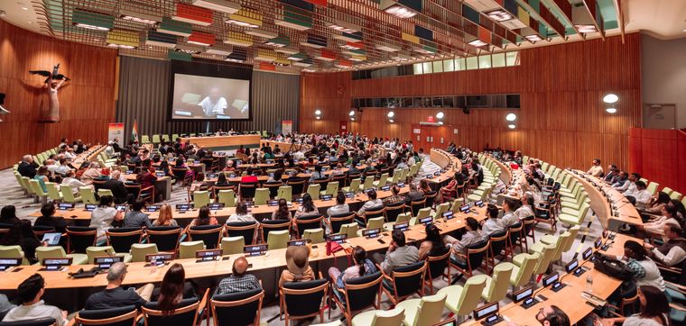 Seen addressing the United Nations | The Art of Living