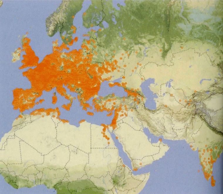 All that glitters: A notable concentration of Roman gold all around the coasts of india and Sri Lanka, as well as at Aden and on the coast of the Red Sea.