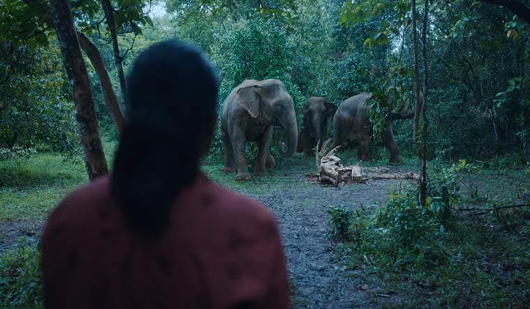 A still from Poacher