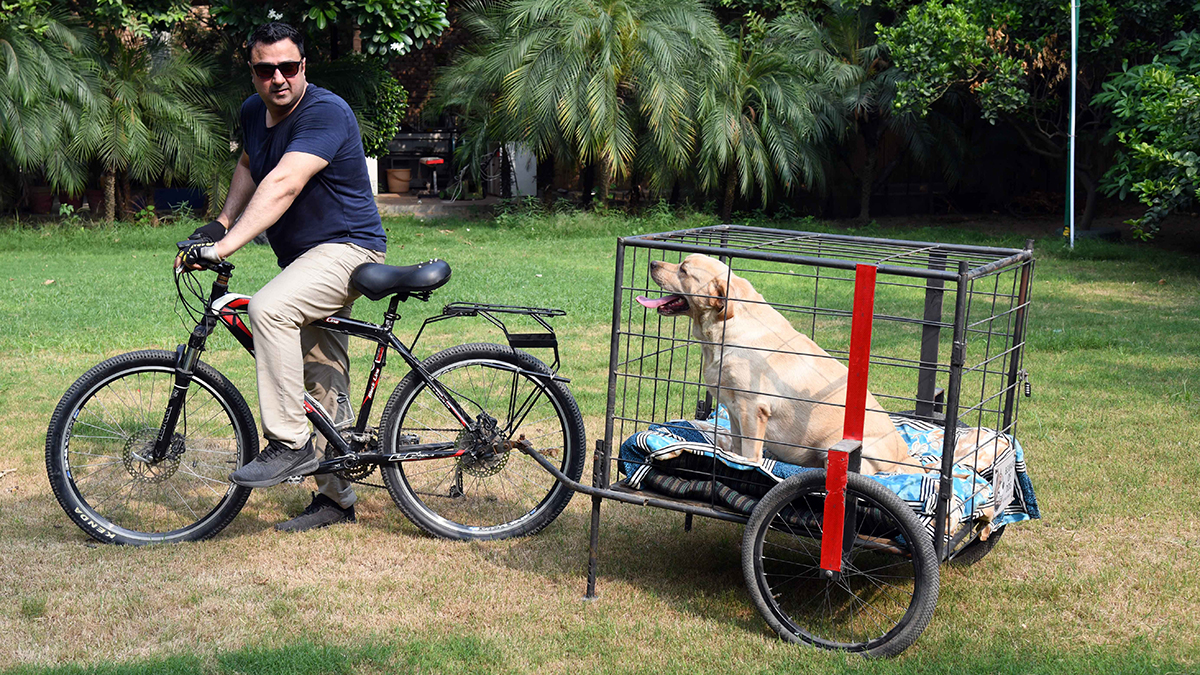 68-on-a-bike-with-a-trailer-for-his-dogs 68-on-a-bike-with-a-trailer-for-his-dogs