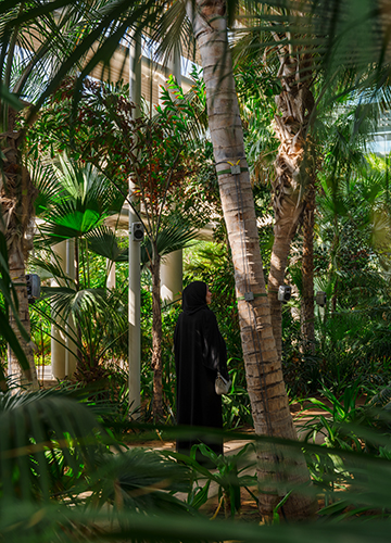 An offer from the desert by Kabir Mohanty | Lance Gerber