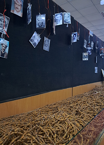 Photographs and other remains of the Barzani genocide victims.