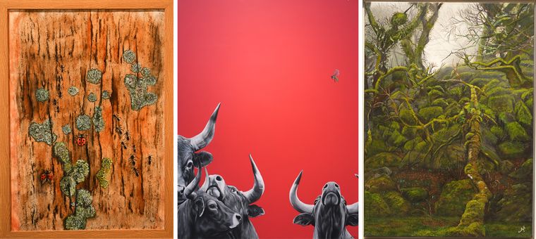 (From left) The Bark by Anupama, The Fly by Mayera Suman and The Fallen Tree by Aswathy 