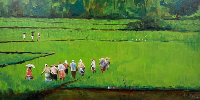 The Green Paddy Field by Prasanth