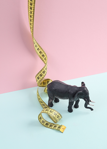 Jumbo sized: K.P. Sreekumar measured elephants for their bodies’ surface area and volume | Shutterstock