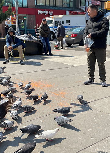 Melting pot: Diversity Plaza in Jackson Heights, New York City | Lavina Melwani
