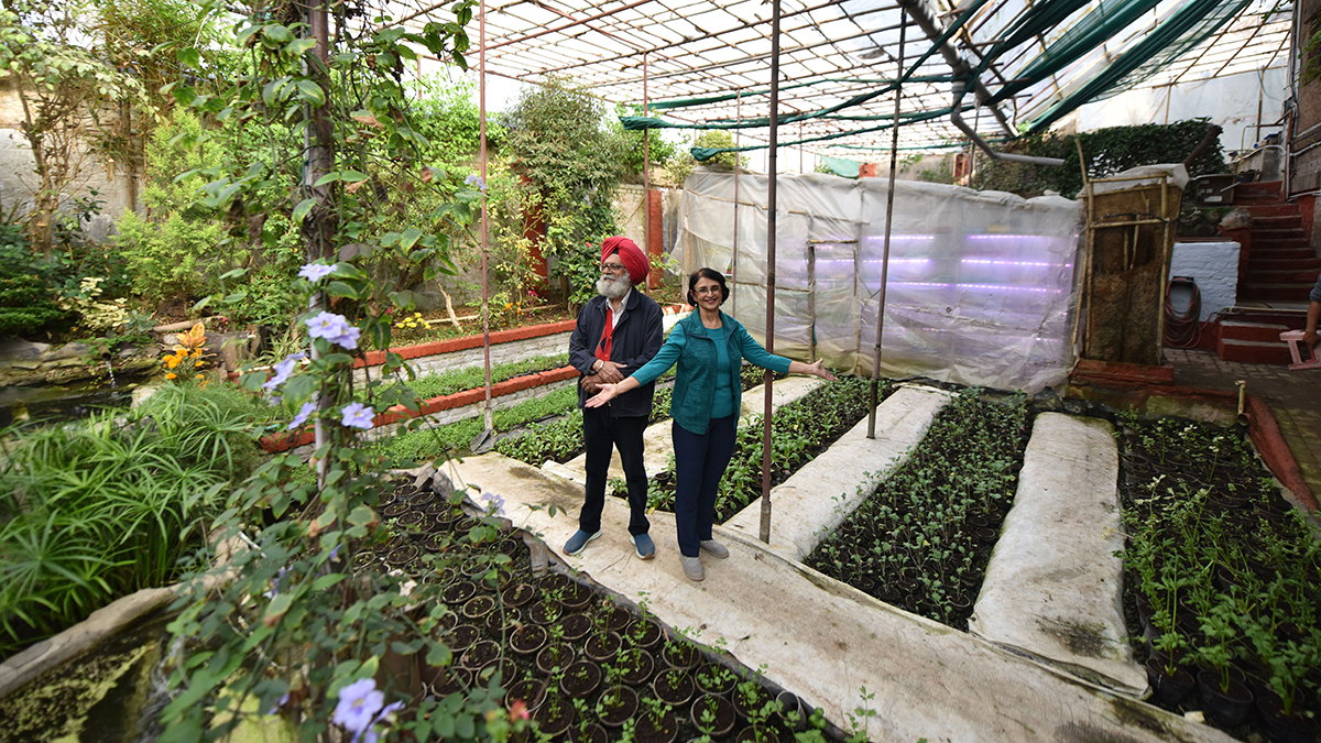 34-Peter-Singh-and-Neeno-Kaur