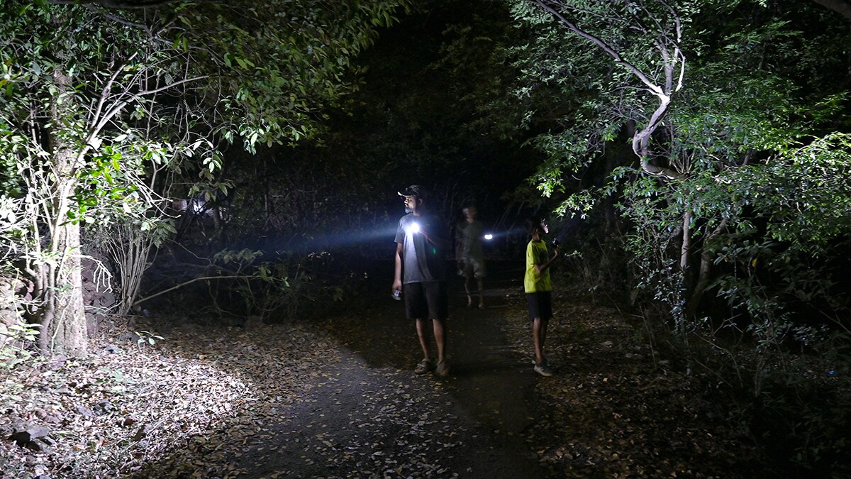 Where’s the slither?: Akshay Khandekar (left) and others look for geckos in Amboli forest.
