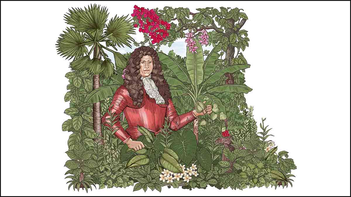 Artist’s impression of Hendrik Adriaan van Rheede | Illustration: Job P.K.