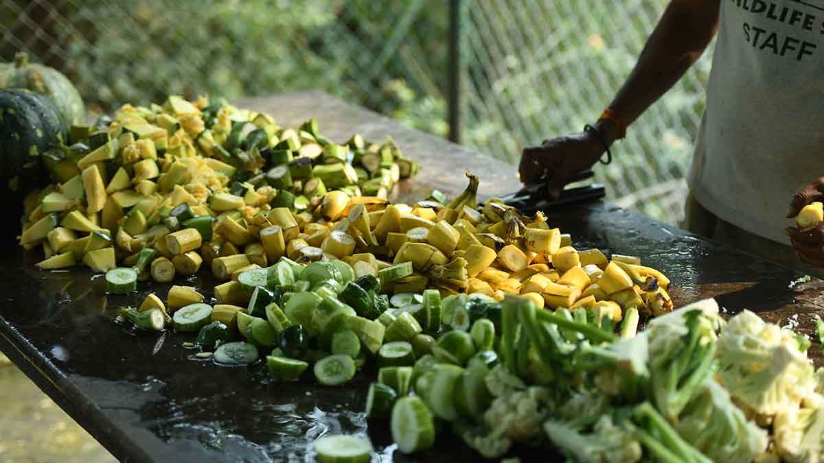 60-fruits-being-cut-for-her-breakfast 60-fruits-being-cut-for-her-breakfast