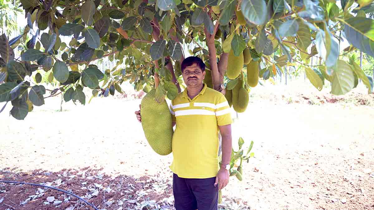 S.S. Paramesha | Bhanu Prakash Chandra