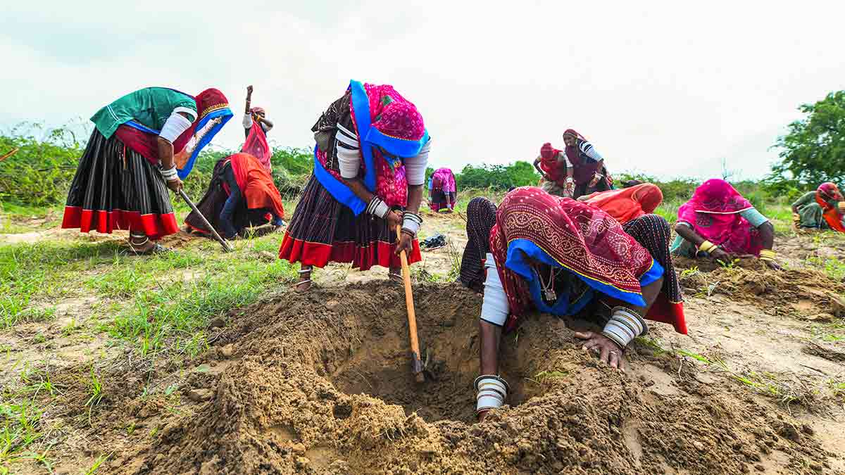 The heartland push: Women labourers dig pits for tree plantation in Jalore in Rajasthan | PTI
