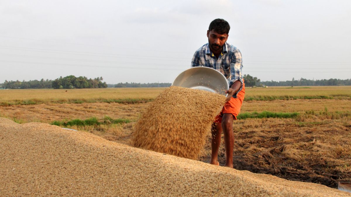Food Grains Distribution in India