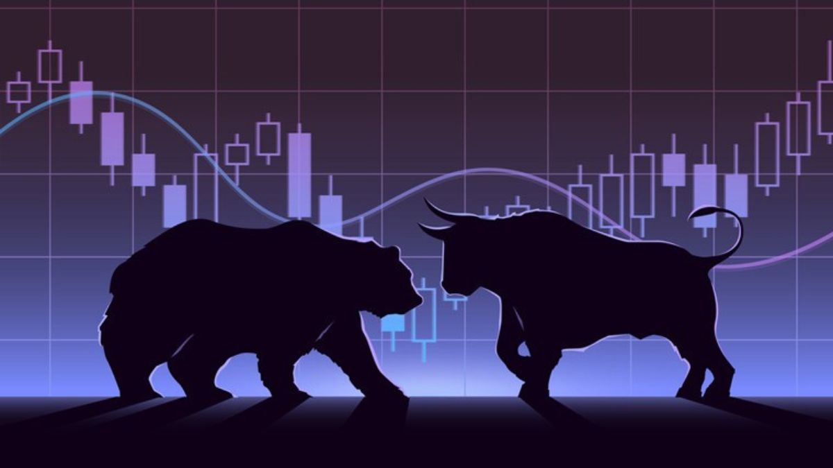 Stock market bear and bull