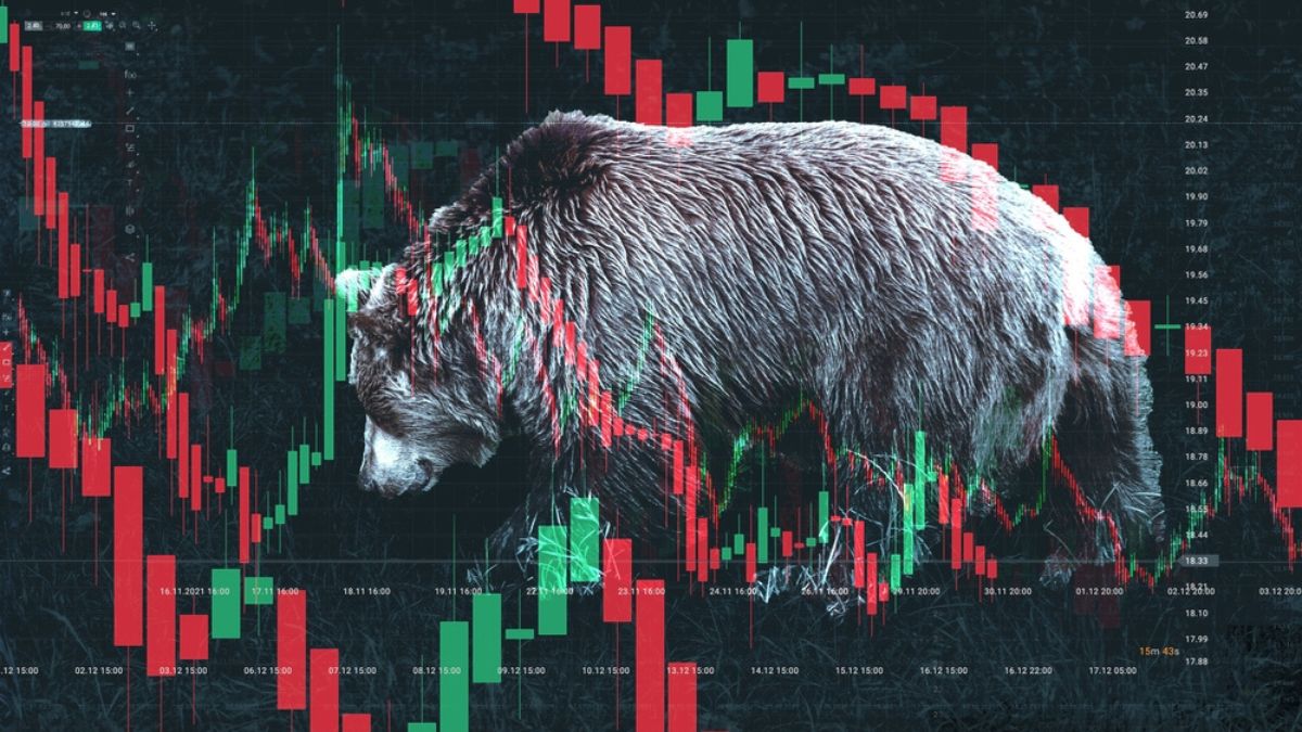 Stock market bear