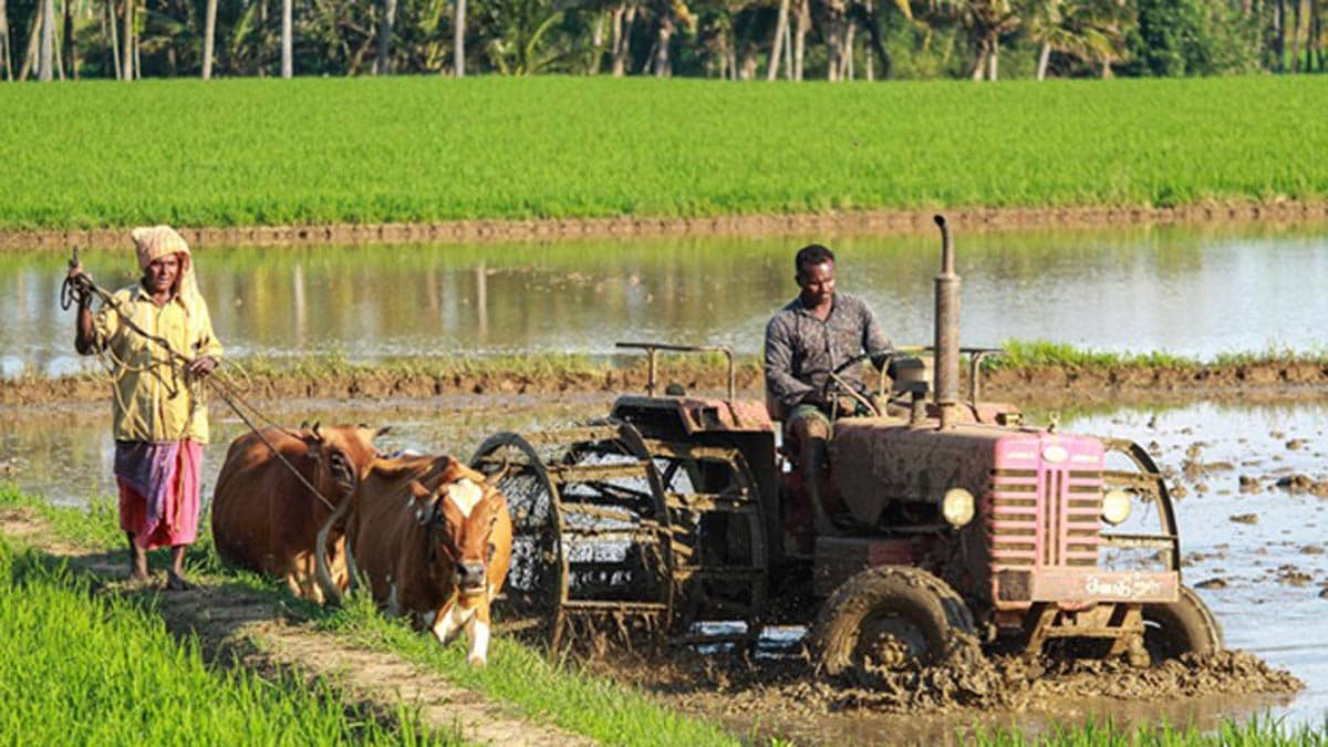 Regenerative farming must be tested all across India, and pathways must be developed to scale it up with appropriate policy.
