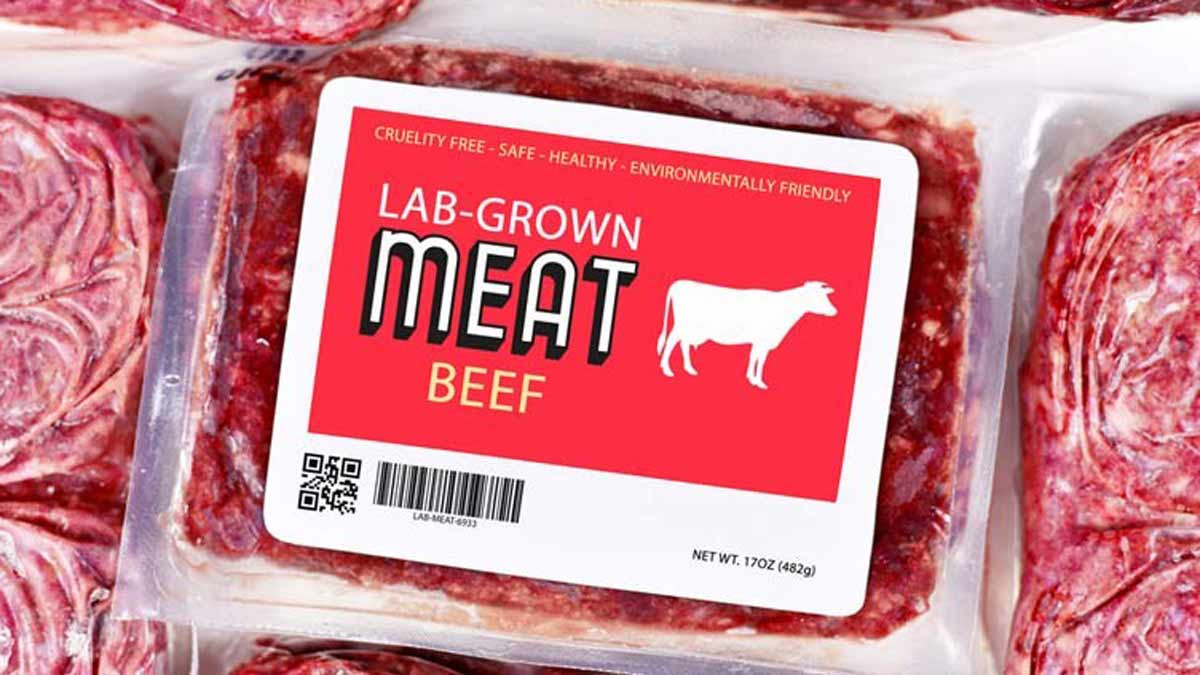 Fish and meat industry