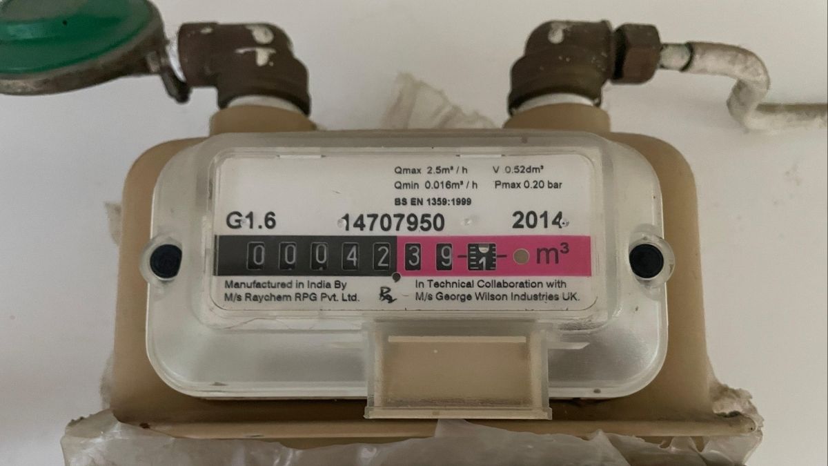 A residential piped natural gas (PNG) meter | Nitin SJ
