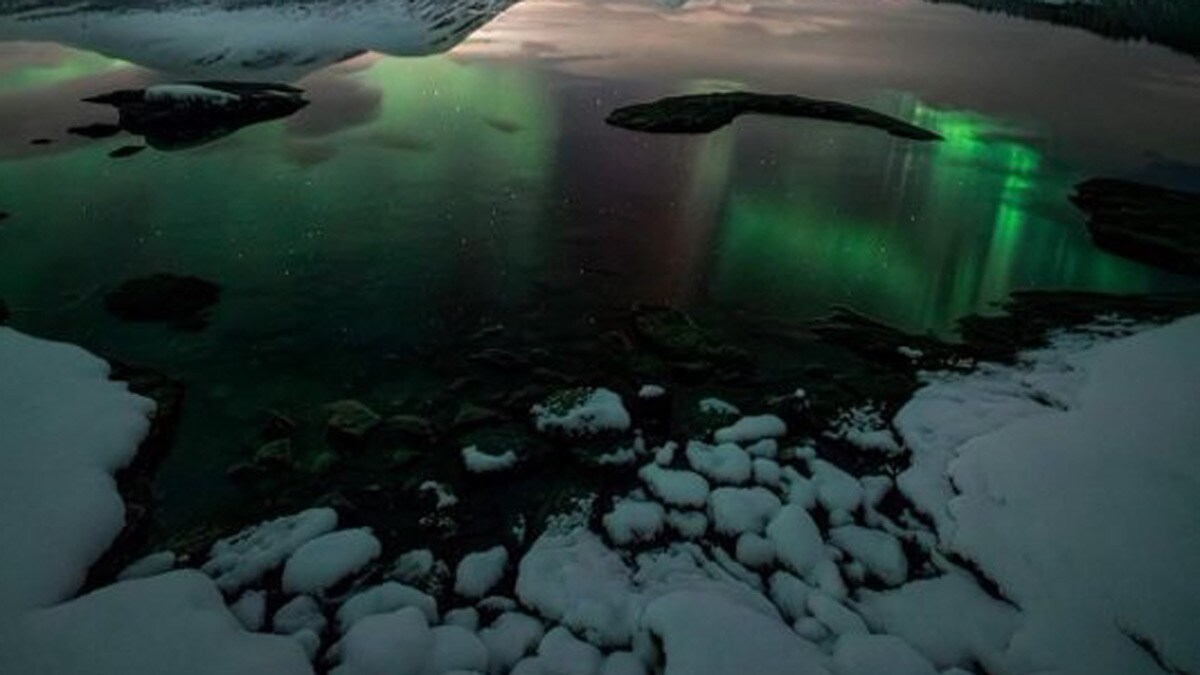 Arctic