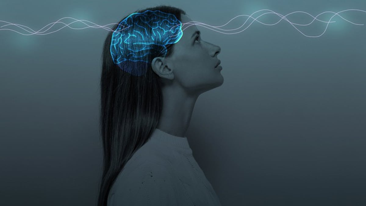 brain-shut